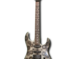 Guitars